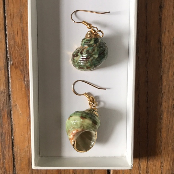 Jewelry - Absolutely Gorgeous Seashell Earrings NWOT